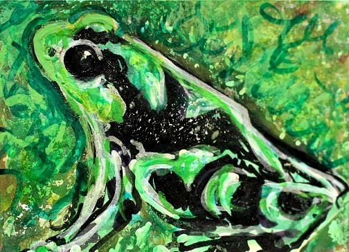ORIGINAL ACEO Painting POISON DART FROG Amphibian Animal Spring Nature ATC ART