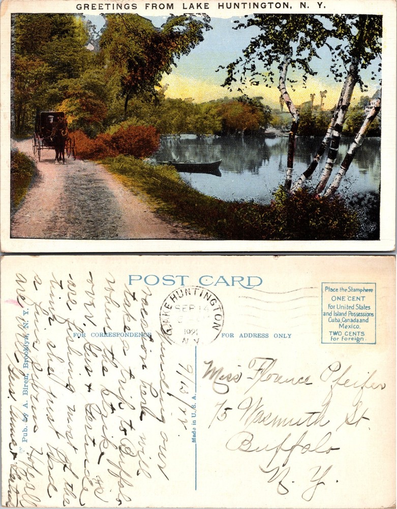 Lake Huntington Carriage Boat Trees NY Postcard