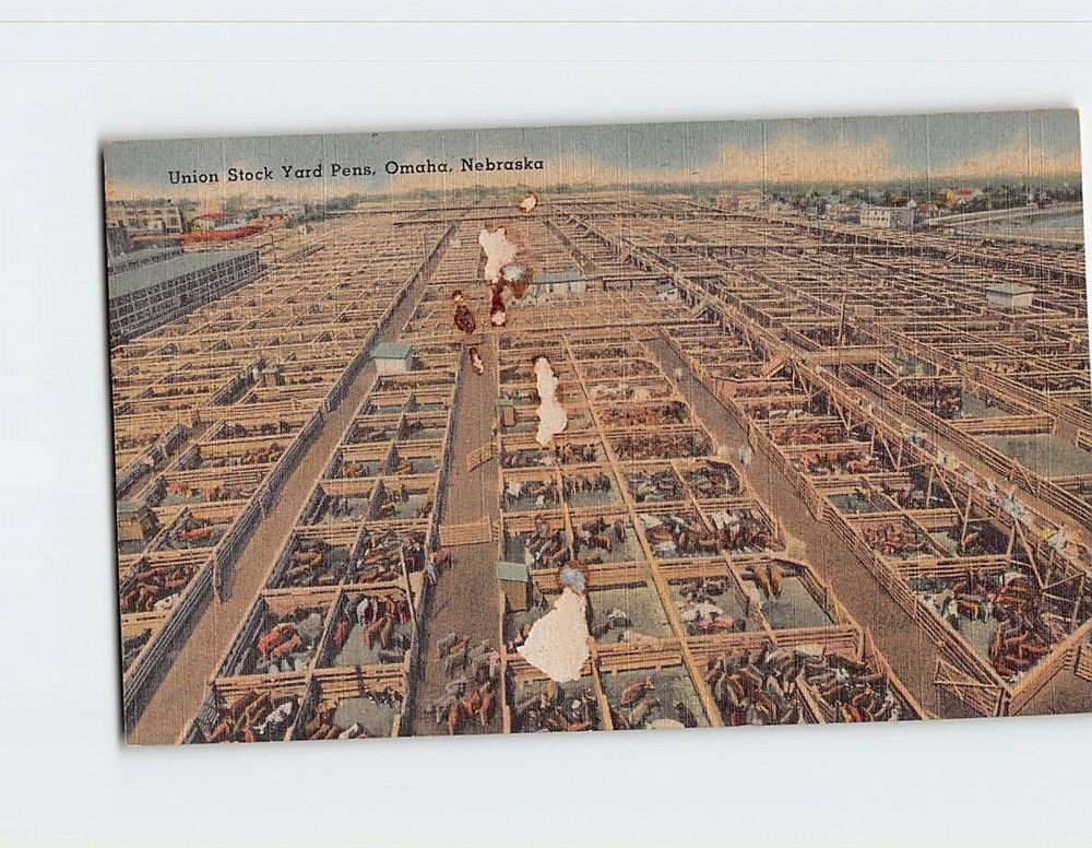 Postcard Union Stock Yard Pens Omaha Nebraska USA