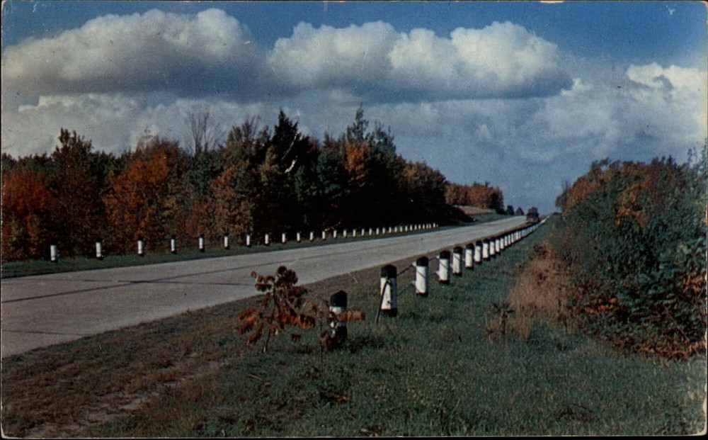 Michigan drive autumn color trees ~ 1950s-60s vintage postcard sku245