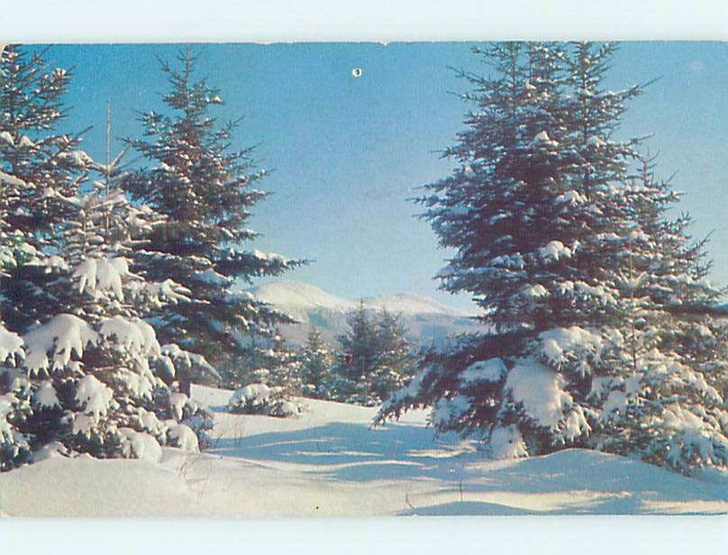Pre-1980 NATURE SCENE Norway - Near Bethel & Lewiston Maine ME m/09 AD5588