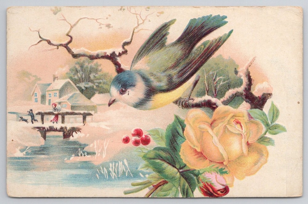 Vintage Embossed Winter Bird & Rose Postcard Undivided Back Snow Scene