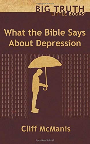 What the Bible Says About Depression (Big Truth little books)