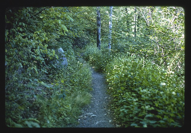 Photo:New Paltz, New York, Mohonk trail