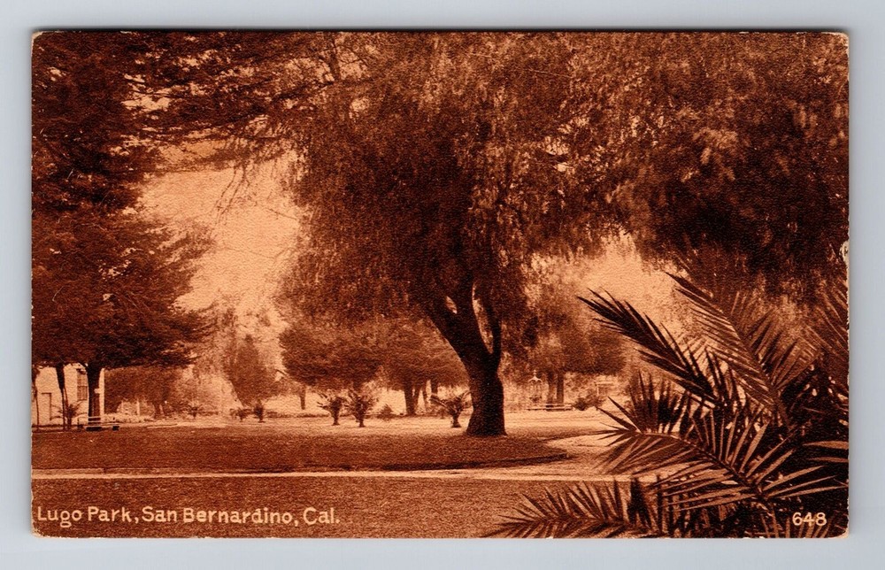 San Bernardino CA-California, Lugo Park, Antique Vintage Souvenir Postcard