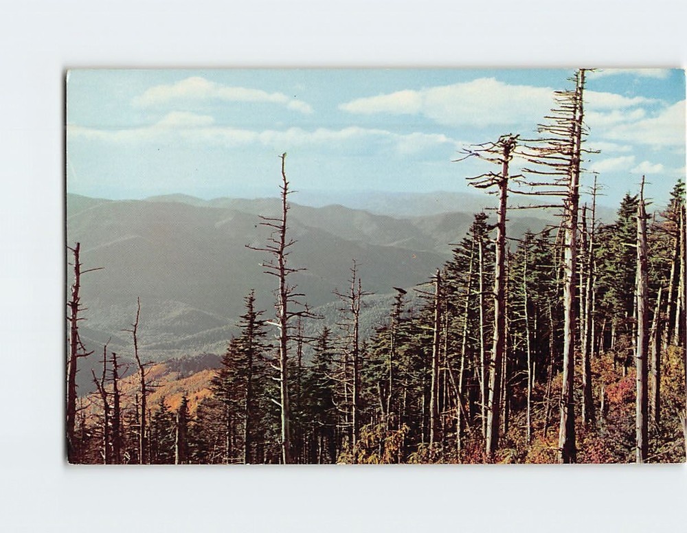 Postcard Blue Ridge Mountains Western North Carolina USA