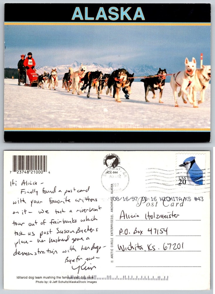 Iditarod Dog Sled Race Alaska Postcard 1997 Mushing Team Mountains Vintage