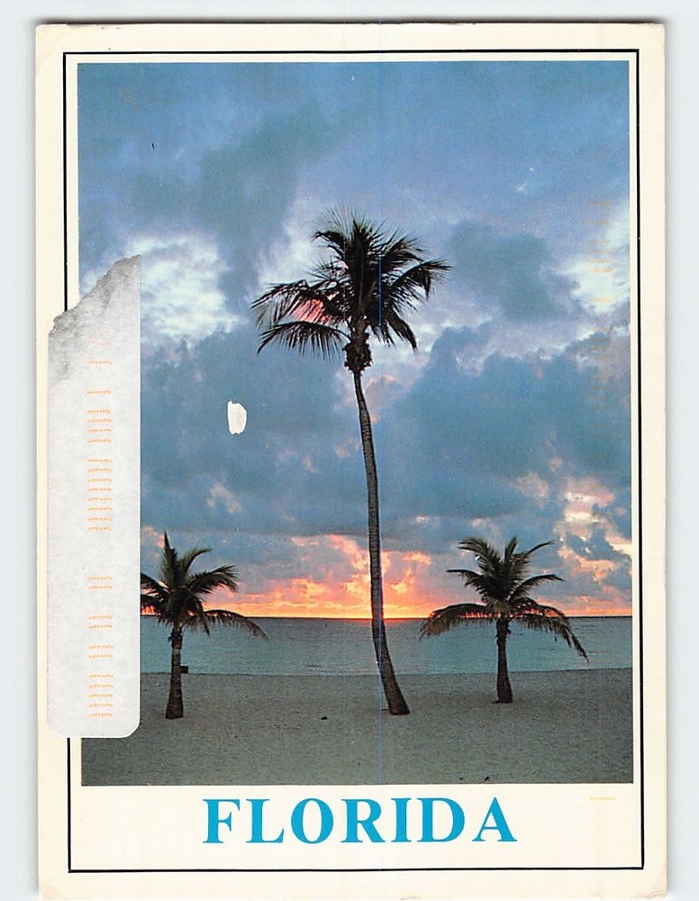 Postcard Sunrise Scene in Florida USA