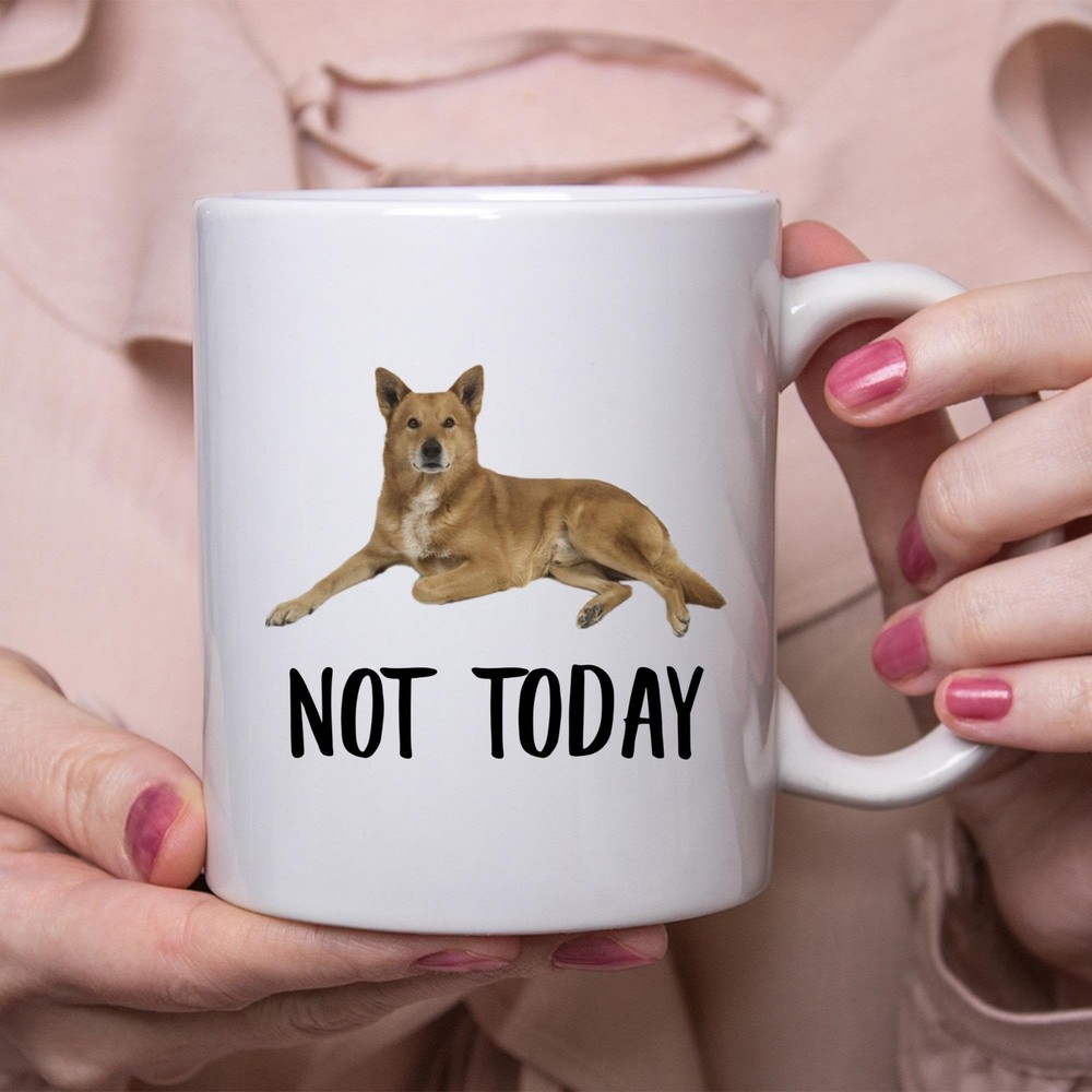 Funny Canaan Dog Fawn Not Today Dog Mug Lazy Gift For Women Dogs Mom Coffee Mug