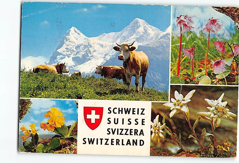 Postcard Scenes & Flowers in Switzerland