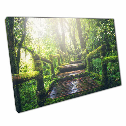 Print on Canvas Forest steps moss walkway Ready to Hang canvas Wall Art Print