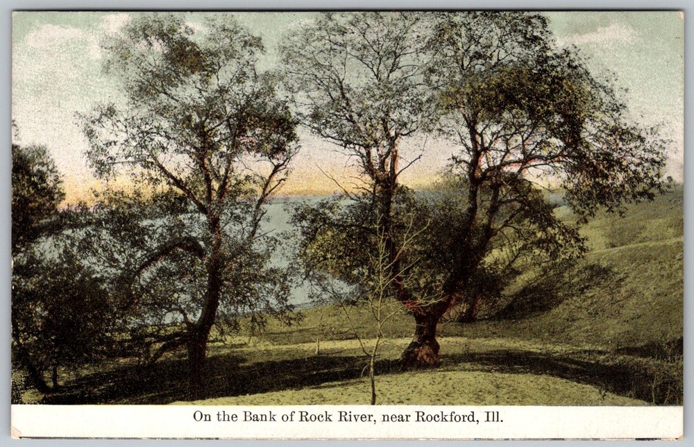 Antique Postcard Riverbank Trees and Hillside Rockford, IL 1910s