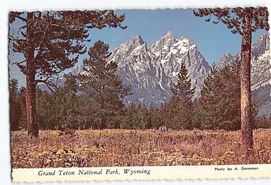 Postcard Grand Teton National Park Wyoming USA