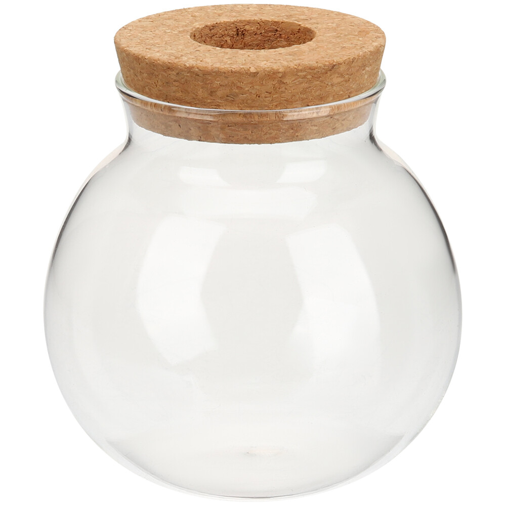 1PC Clear Glass Hydroponic Terrarium for Desktop Plants
