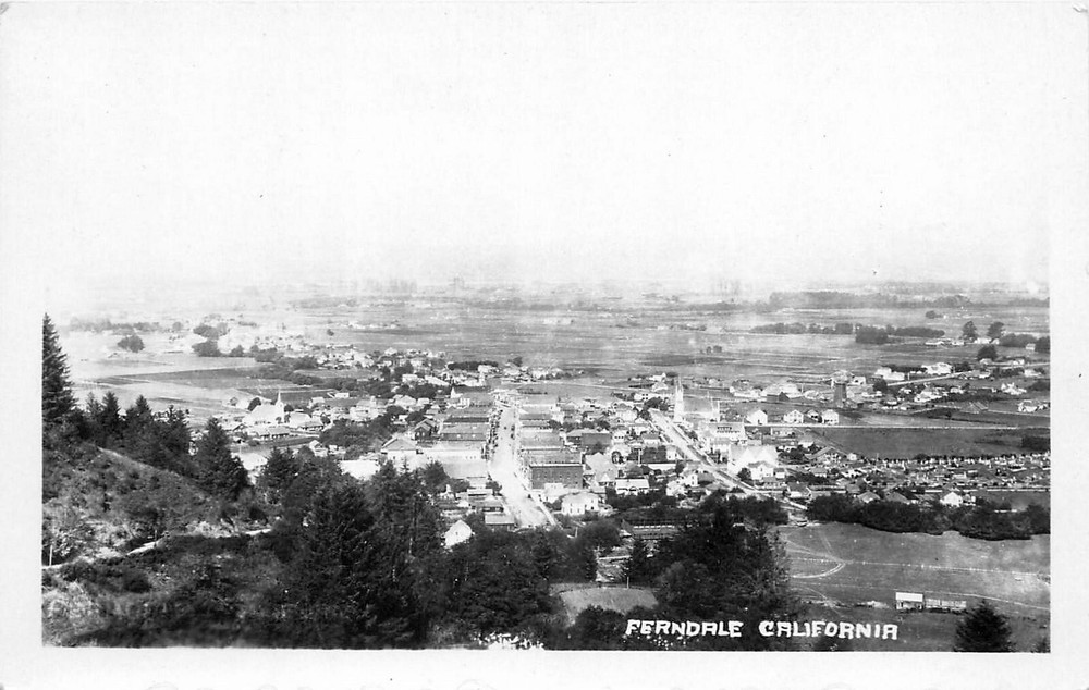 1920s Ferndale California Birdseye View Humboldt Bear Photo Postcard RPPC 25-97
