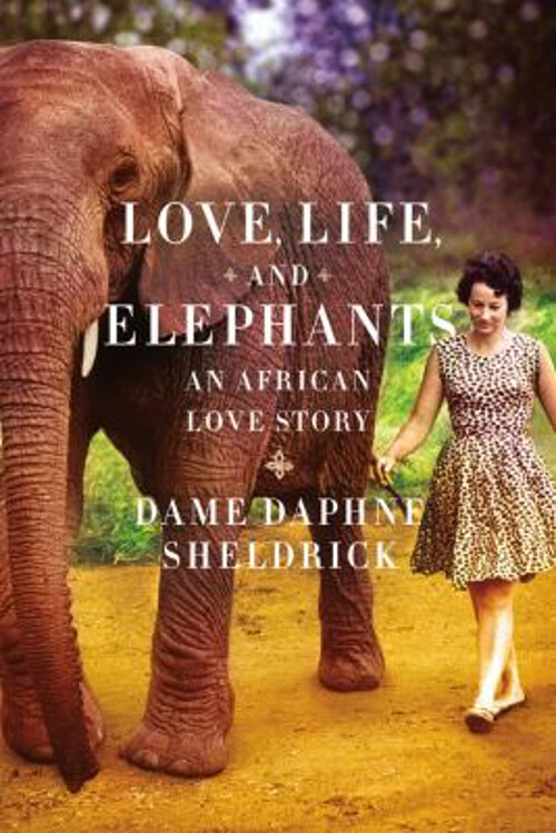 Love Life and Elephants An African Love Story Hardcover by Daphn