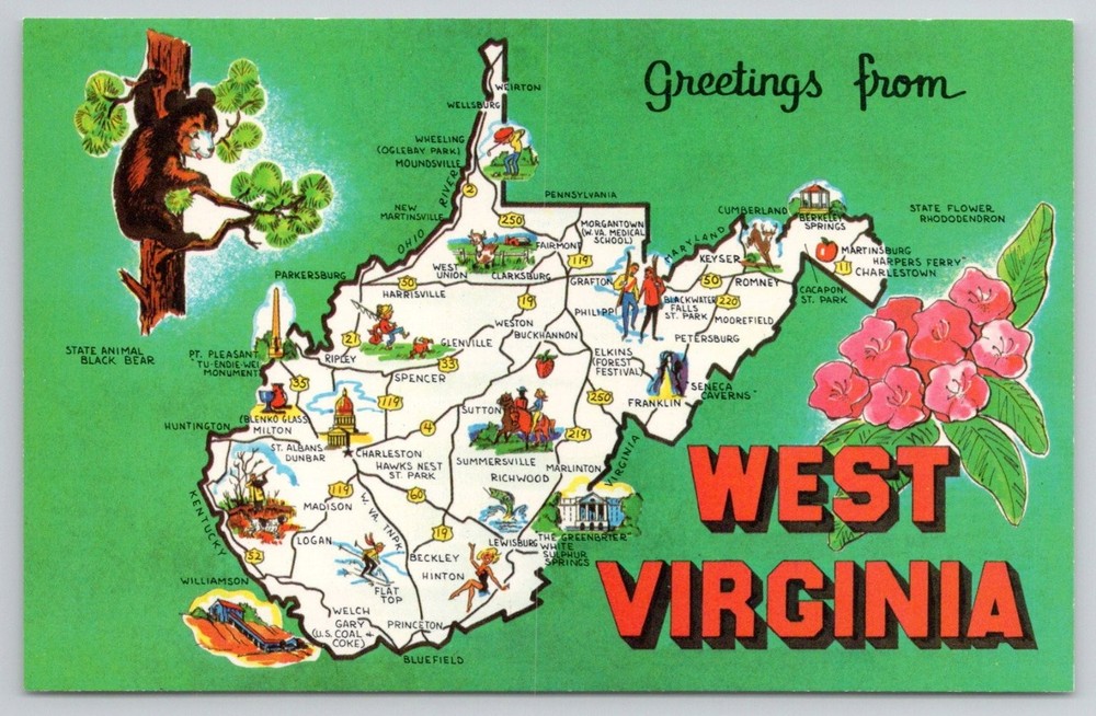 Greetings from West Virginia Map Postcard - State Animal Bear & Rhododendron