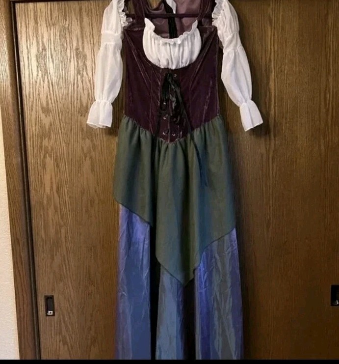 LARGE Costume Ren Faire Renaissance Fun World Tavern Wench Peasant Cinderella
