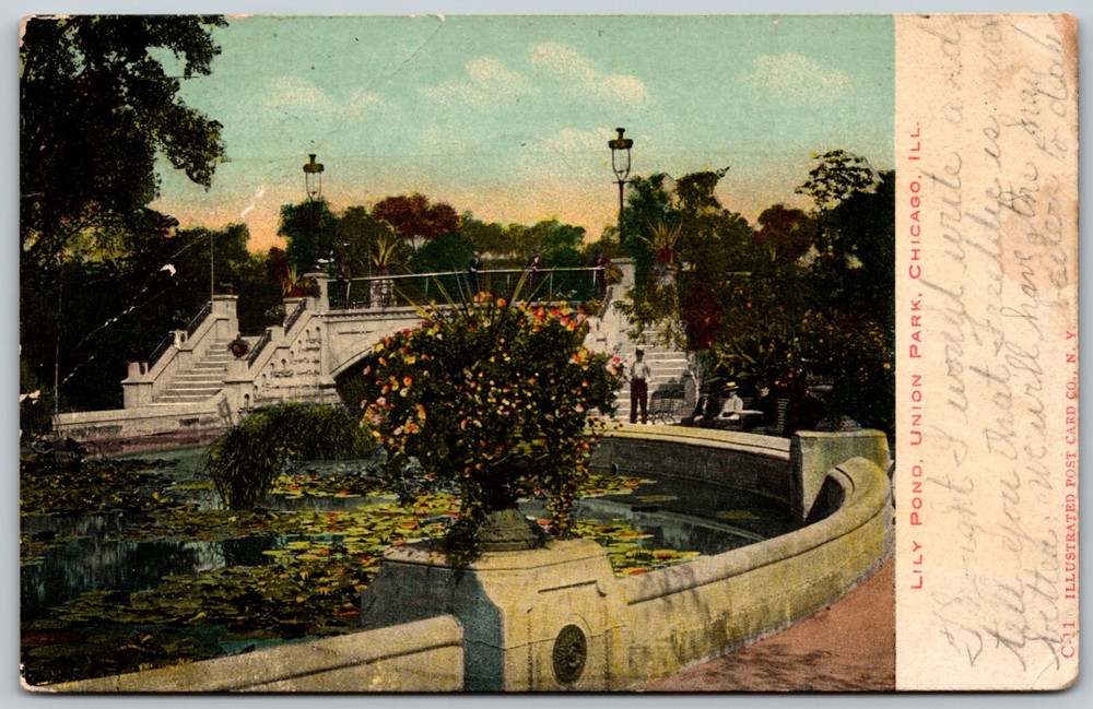 c1907 Lily Pond Union Park CHICAGO Illinois Landscape View ANTIQUE Postcard