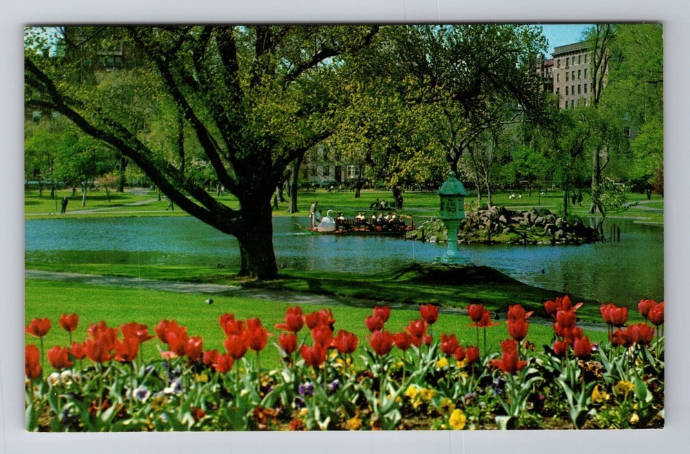 Boston MA-Massachusetts, Swan Boats on Lake at Public Gardens, Vintage Postcard