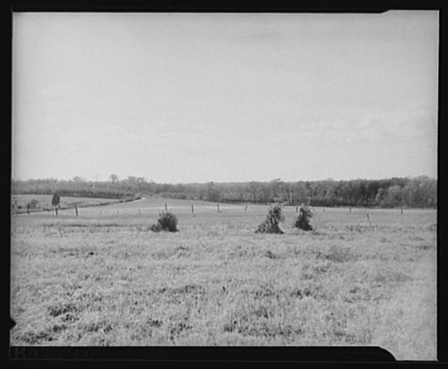 Berwyn,Maryland,MD,Prince Georges County,Farm Security Administration,FSA,3 1