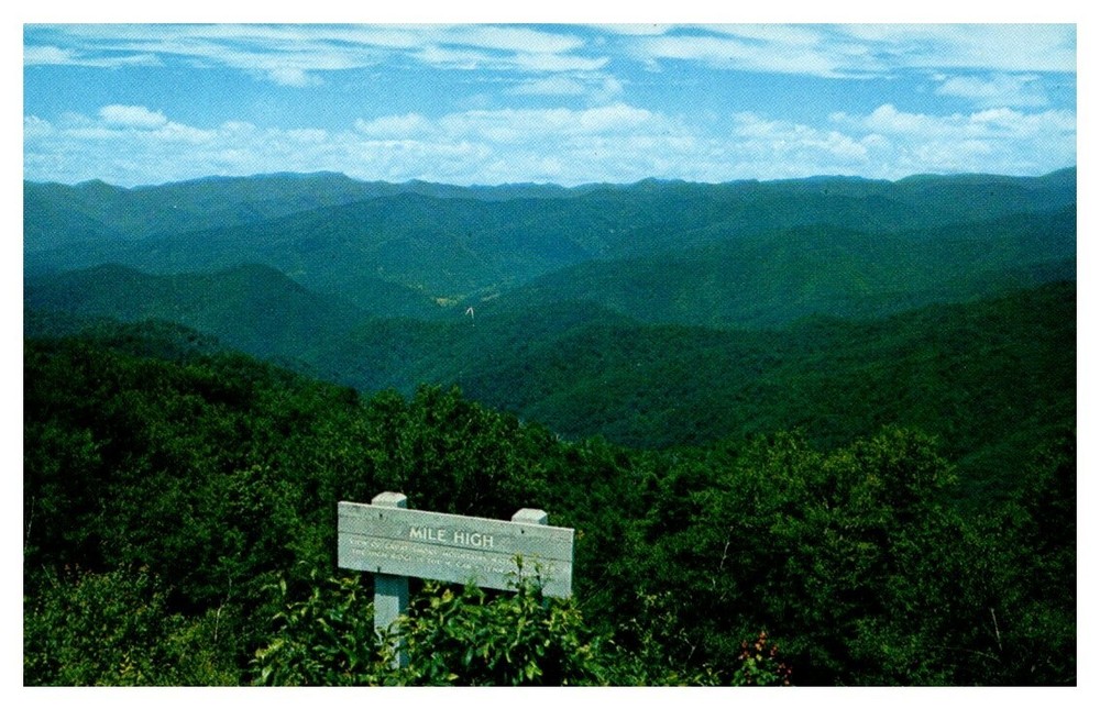 1957 Mile High Overlook Great Smoky Mts Tennessee Vintage Postcard