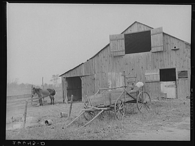 Photo:Barn on tenant farm. Camden County, New Jersey