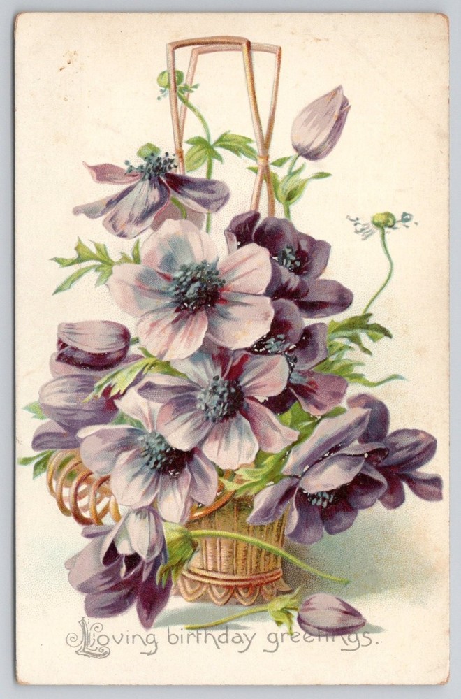 1908 Raphael Tuck Birthday Greetings Anemones Flower Basket Postcard