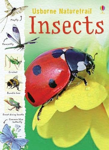 Insects (Usborne Nature Trail) by Louie Stowell Paperback Book The Fast FreeFREE US DELIVERY | ISBN: 0746090099 | Quality Books