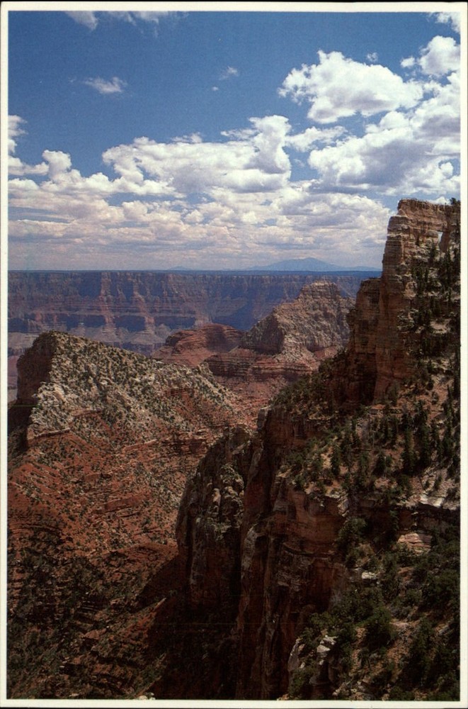 Grand Canyon Natl Park from Cape Royal Arizona aerial view ~ postcard sku981