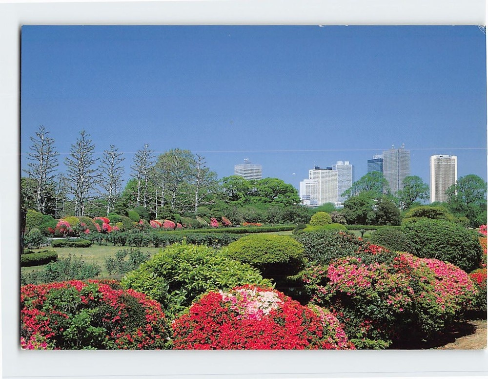Postcard Shinjuku Gyoen Park Tokyo Japan