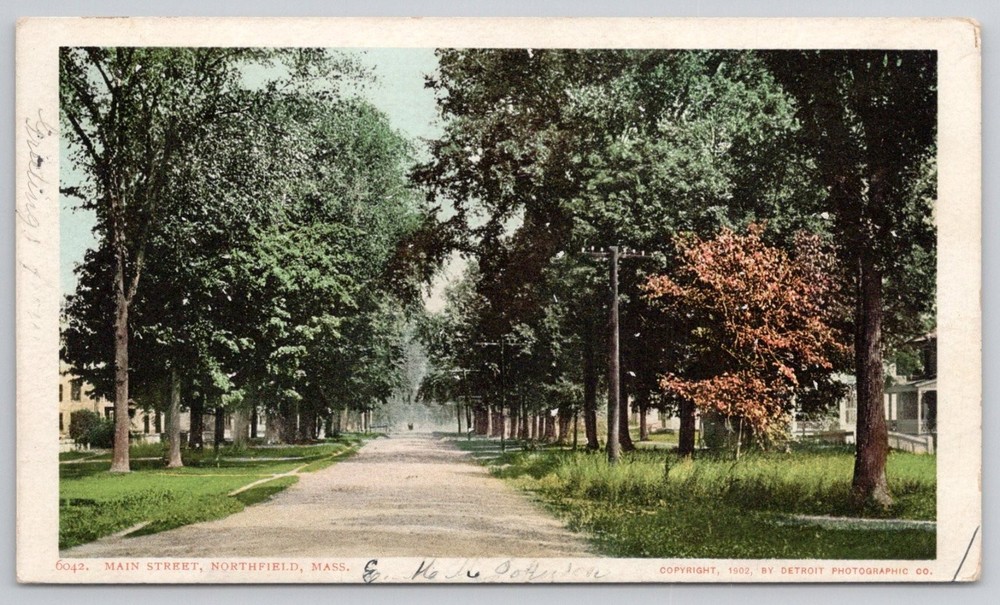 Northfield MA Main Street Tree Lined Vintage Postcard Detroit Photographic 1908