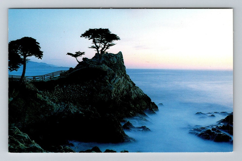 Pebble Beach, CA-California, Lone Cypress 17-Mile Drive Sunset Vintage Postcard