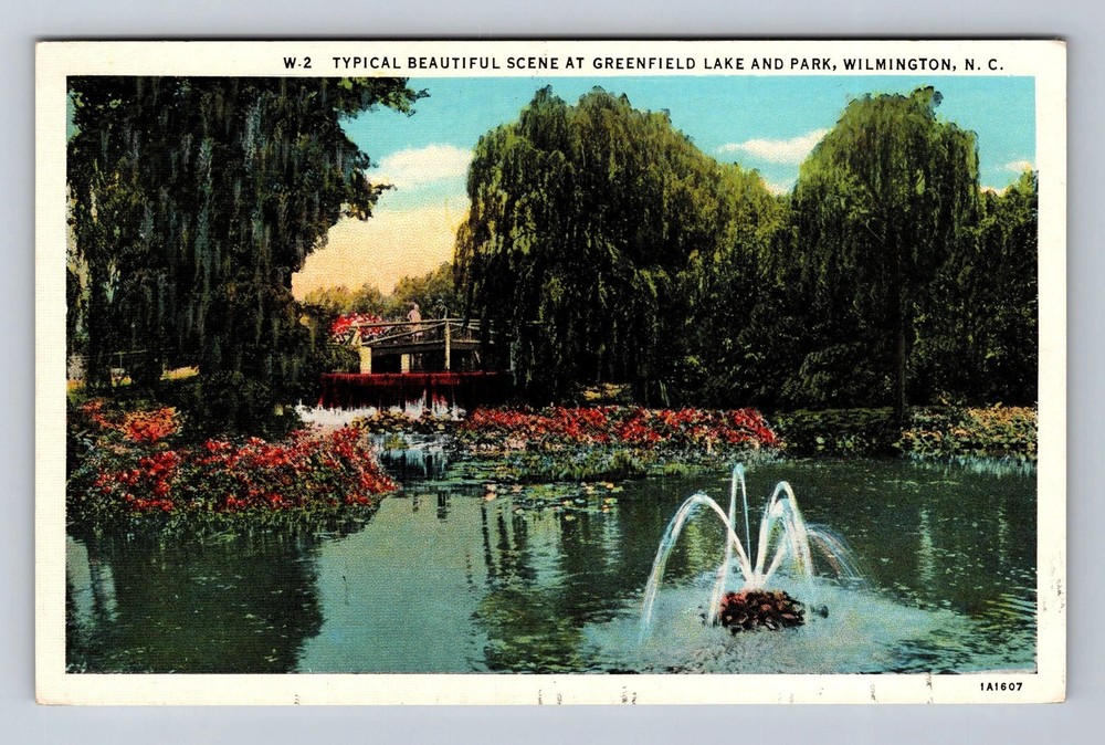 Wilmington NC-North Carolina Scenic View Greenfield Lake & Park Vintage Postcard