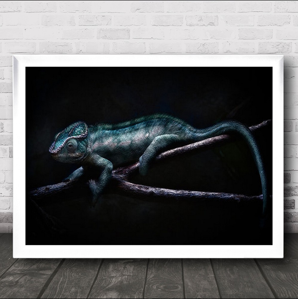 Chameleon Portrait Laying Branch Blue Wall Art Print