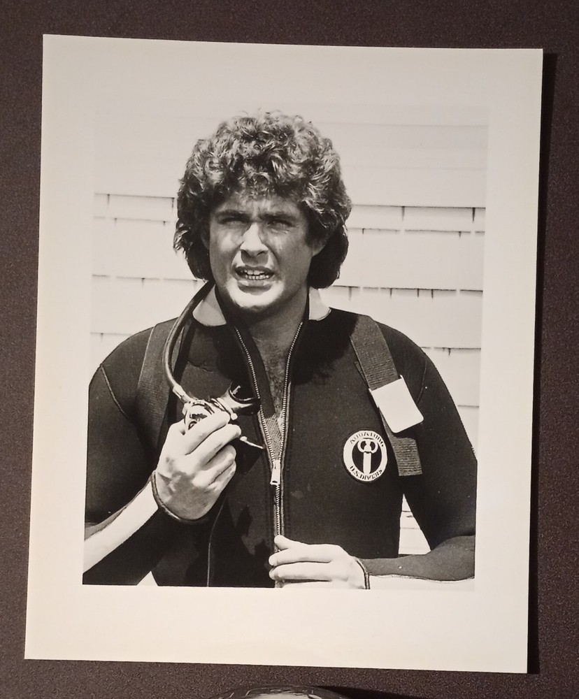 David Hasselhoff Knight Rider TV Star Portrait Actor 8x10 Glossy Vintage Photo