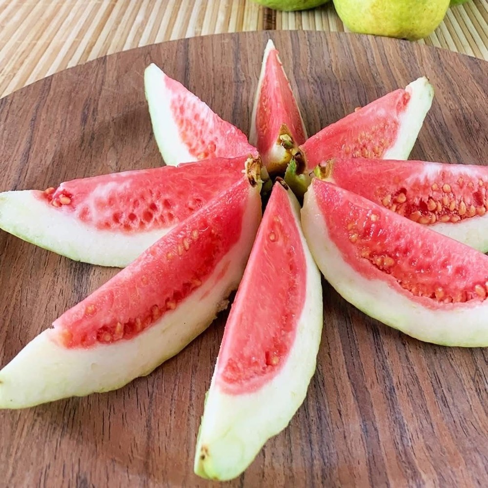 Psidium Guajava Cv. Romeo and Juliette