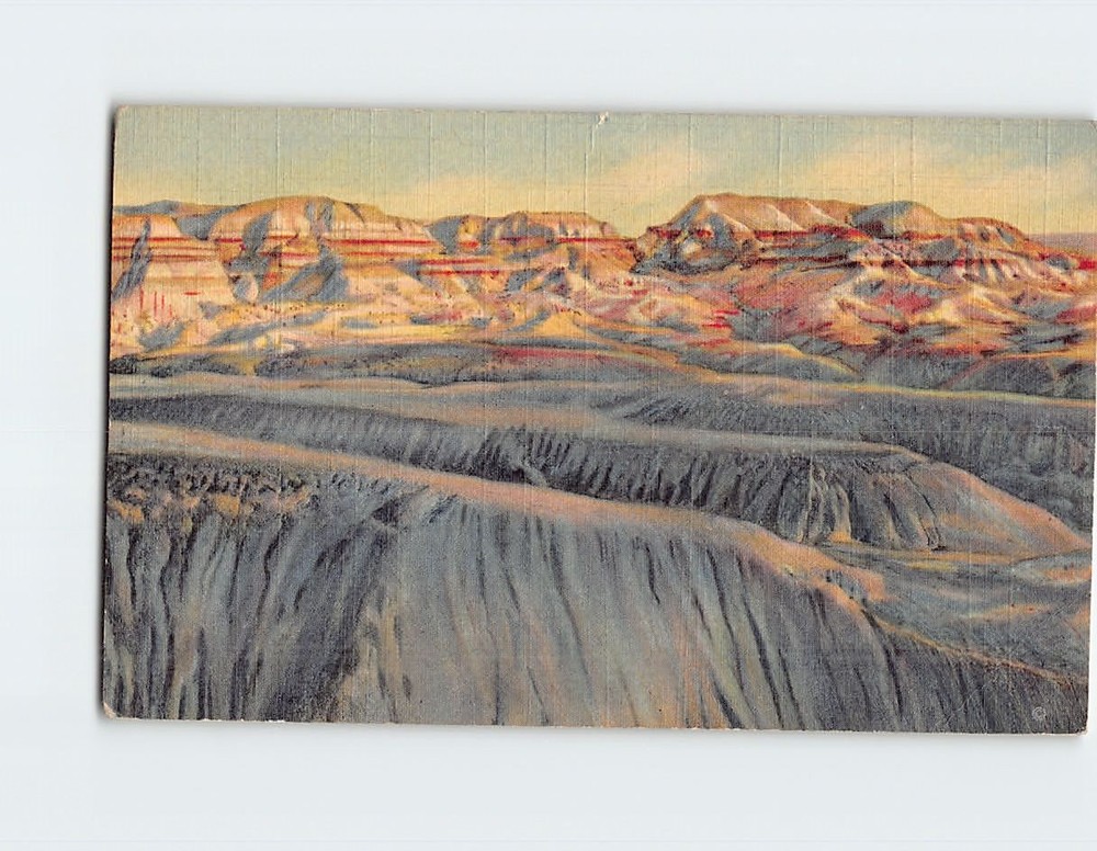 Postcard Painted Desert & Blue Forest Arizona USA