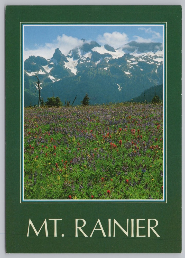 Washington~Photo Of Wildflowers In Mt Rainier National Park~Continental Postcard