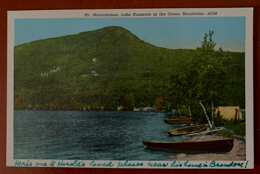 Mt Moosalamoo & Lake Dunmore In Green Mts Vermont ~Vintage Postcard