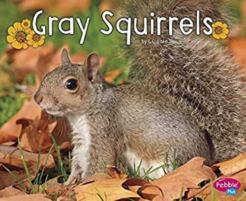 Gray Squirrels Library Binding G. G. LakeFree US Delivery | ISBN:1515708187