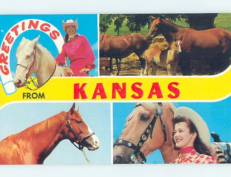 Unused Pre-1980 FOUR VIEWS ON ONE POSTCARD state of Kansas 60.000 cards hn3271@