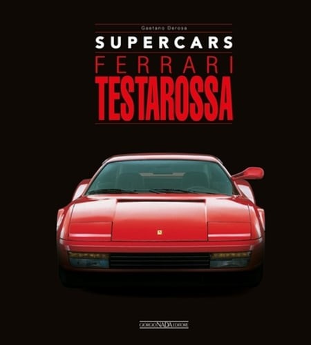 Ferrari Testarossa by Gaetano Derosa: Used