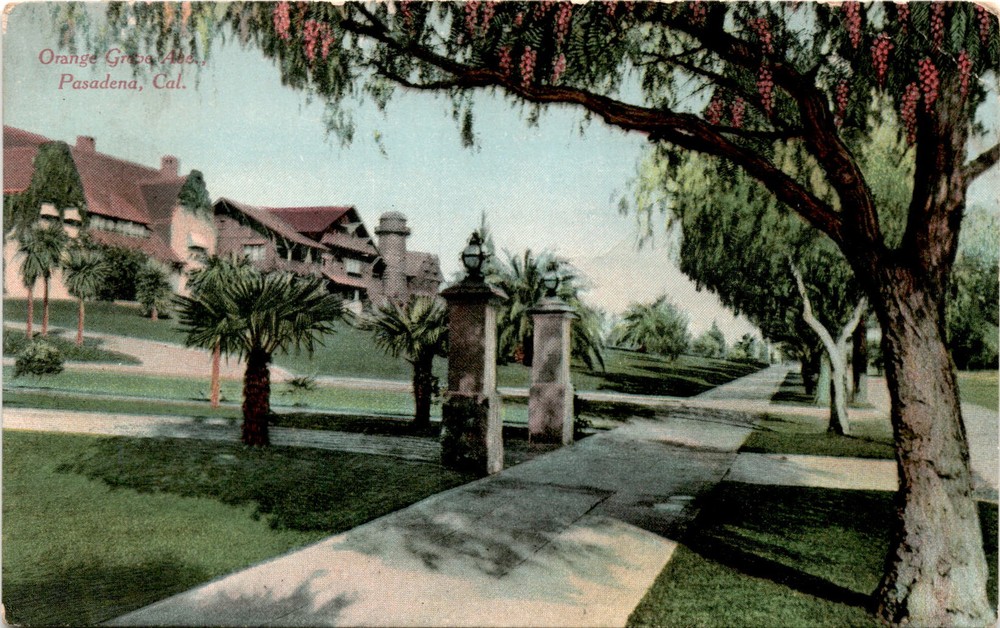 Orange Grove, Pasadena, California, Newman Post Card, Los Angeles, Postcard