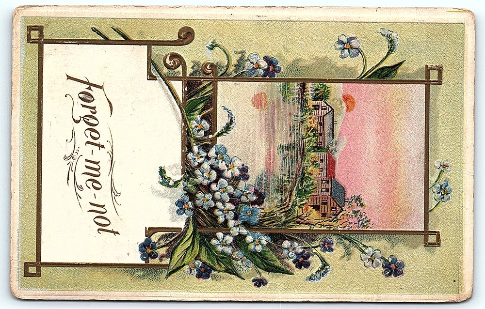 Postcard Forget me not