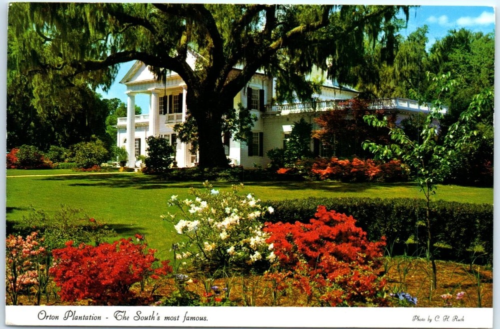 Postcard - Orton Plantation, The South's most famous - Winnabow, North Carolina