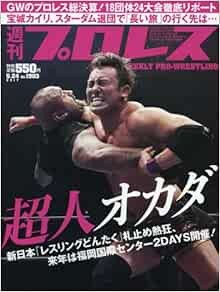 WEEKLY PRO-WRESTLING 2017 May 24 Japan Book Magazine Japanese book form JP