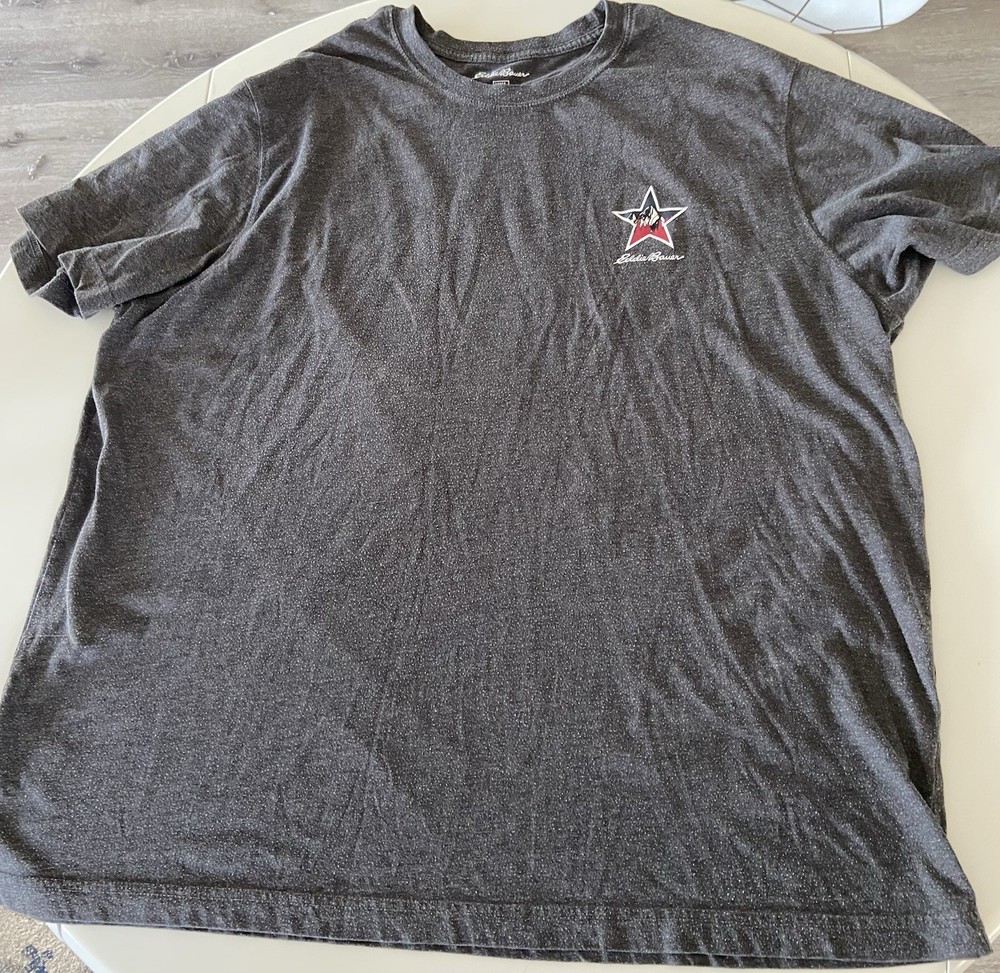 Eddie Bauer T Shirt Mens XL Gray Mountain Logo Graphic Hiker Outdoors Tee S/S