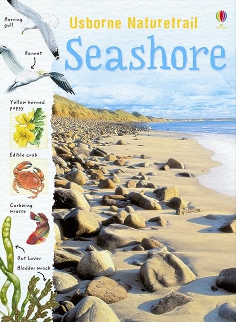 Seashore (Naturetrail) (Spotter's Sticker Books) by Sarah Courtauld Book TheFREE US DELIVERY | ISBN: 1409566277 | Quality Books
