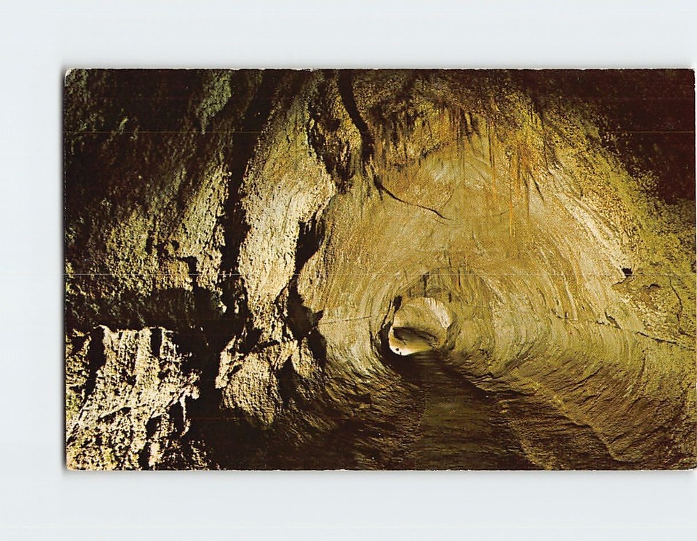 Postcard Thurston Lava Tube Hawaii Volcanoes National Park USA